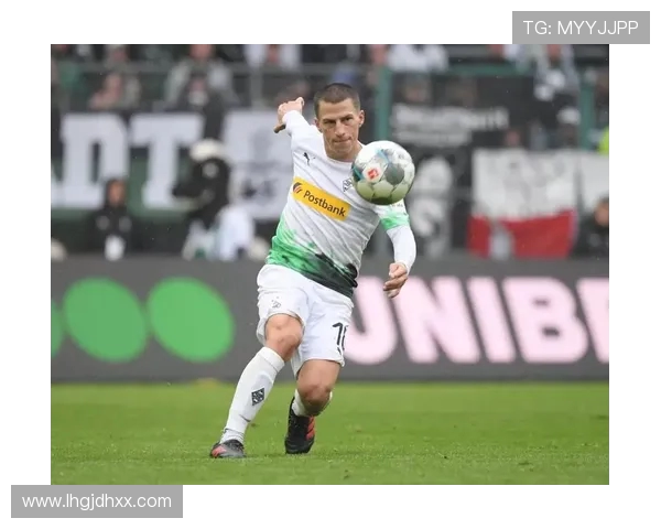 德甲历史上来自奥地利的球队有哪些？参赛记录